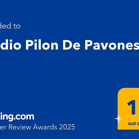 Studio Pilon De Pavones Pavones  Exterior foto